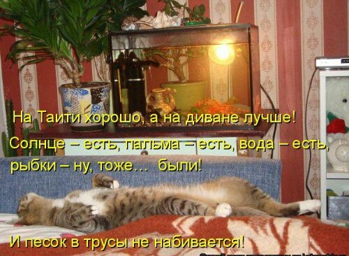 Эъ к в трусЁ