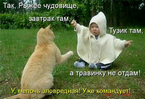 Так Рщё чудовище _ завтрак там