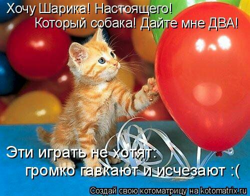 Хочу Шарика Настоящегоі Который спбака Дайте мне ДВА _ котоматрдцу цшаапёяпшш