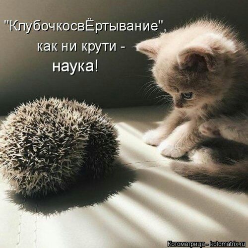 убоч косвЁртыван ие как ни крути наука