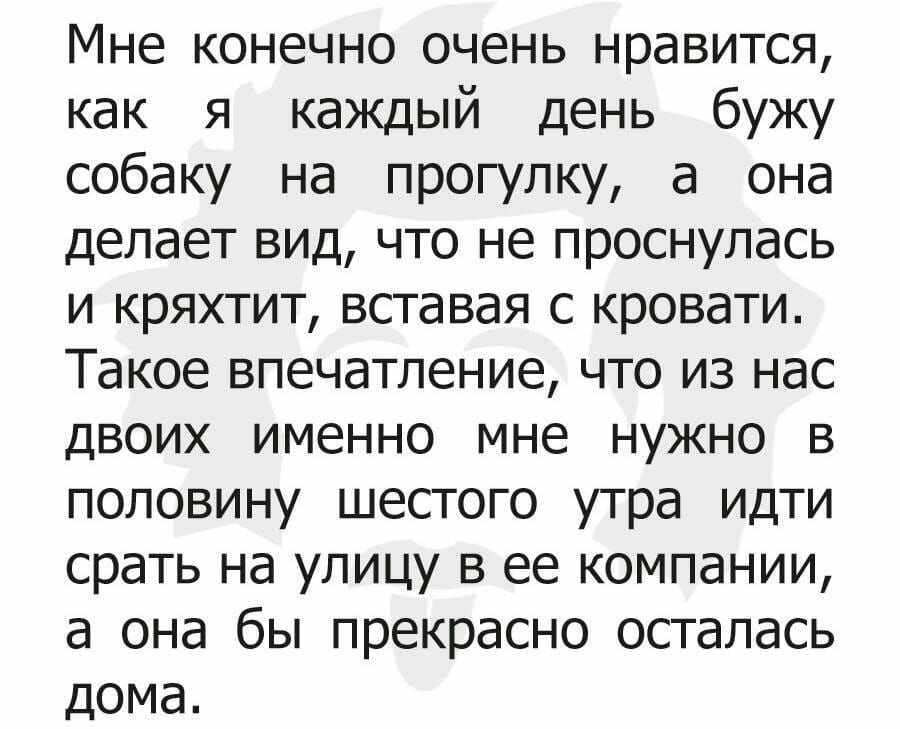 Мне конечно очень нравится как я каждый день бужу собаку на прогулку а она делает вид что не проснулась и кряхтит вставая с кровати Такое впечатление что из нас двоих именно мне нужно в половину шестого утра идти срать на улицу в ее компании а она бы прекрасно осталась дома