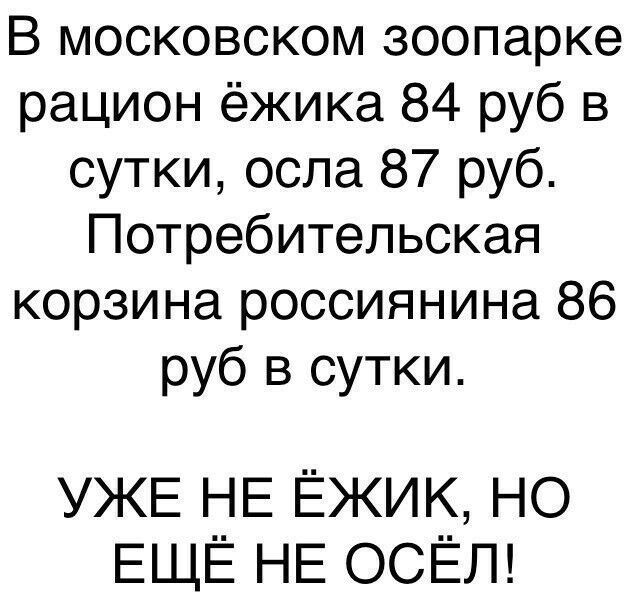 В московском зоопарке рацион ёжика 84 руб в сутки осла 87 руб Потребительская корзина россиянина 86 руб в сутки УЖЕ НЕ ЁЖИК НО ЕЩЁ НЕ ОСЁЛ