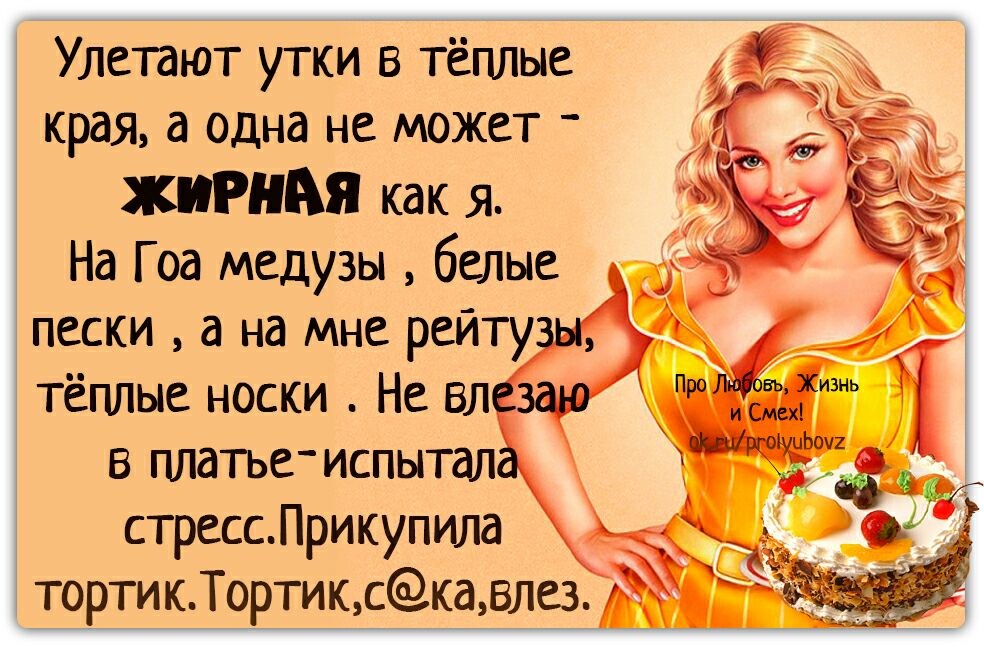Улетают утки в тёплые края а одна не может жирная как я На Г оа медузы белые пески а на мне рейту тёплые носки Не вл 8 платье испытал стрессПрикупила