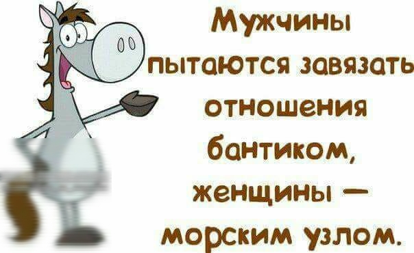 Мужчины пытаются завязать отношения бантиком женщины морским узлом