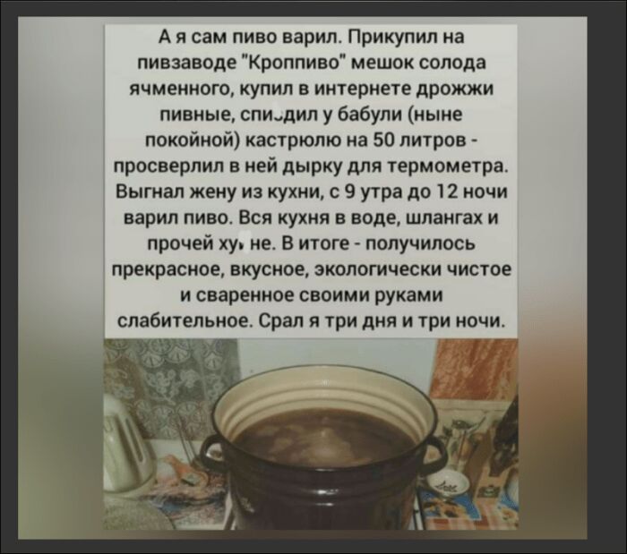 А я сам пиво варил Прикупип на пивзаводе Кроппиво мешок солода ячменного купил в интернете дрожжи пивные спидип у бабули ныне покойной кастрюлю на 50 литров просверлил в ней дырку для термометра Выгиал жену из кухни с 9 утра до 12 ночи варил пиво Вся кухня в воде шлангах и прочей ху не в итоге получилось прекрасное вкусное экологически чистое и сваренное своими руками слабительное Срал и три дня и