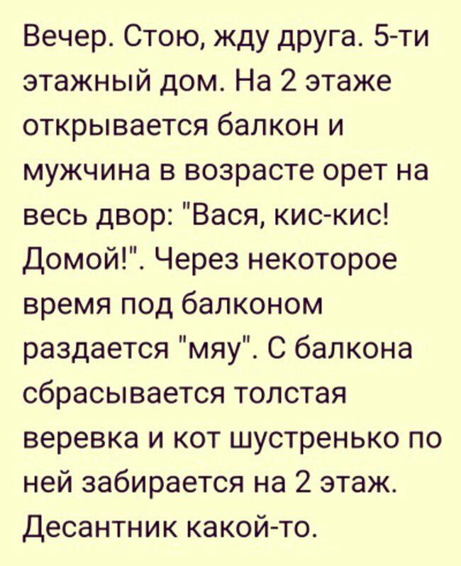 Вечер Стою жду друга 5 ти этажный дом На 2 этаже открывается балкон и мужчина в возрасте орет на весь двор Вася кис кис Домой Через некоторое время под балконом раздается мяу С балкона сбрасывается толстая веревка и кот шустренько по ней забирается на 2 этаж Десантник какой то