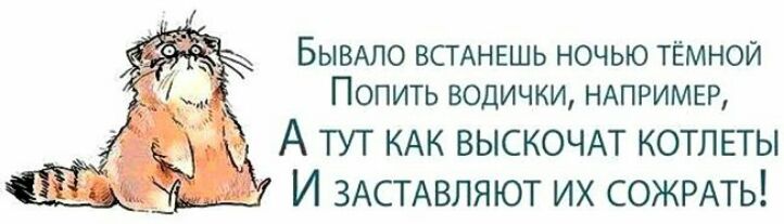 БЫВАЛО ВСТАНЕШЬ ночью тёмной Попить водички НАПРИМЕР А ТУТ КАК ВЫСКОЧАТ КОТЛЕТЫ
