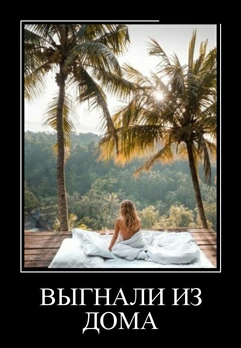 ВЫГНАЛИ из ДОМА