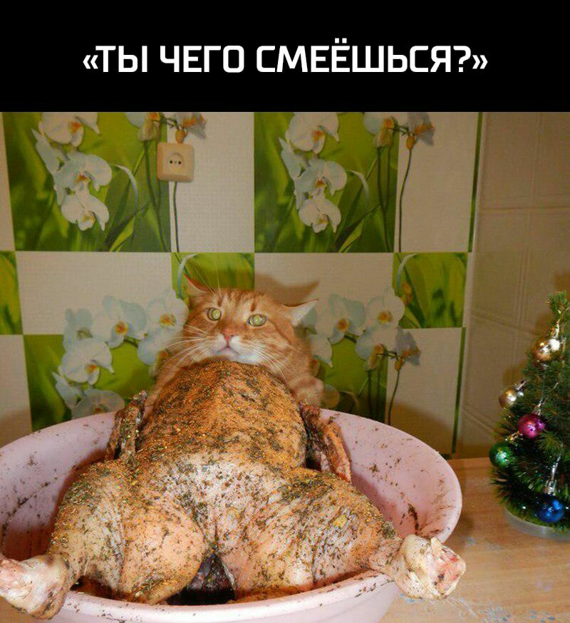 ты чвго СМЕЁШЬСЯ