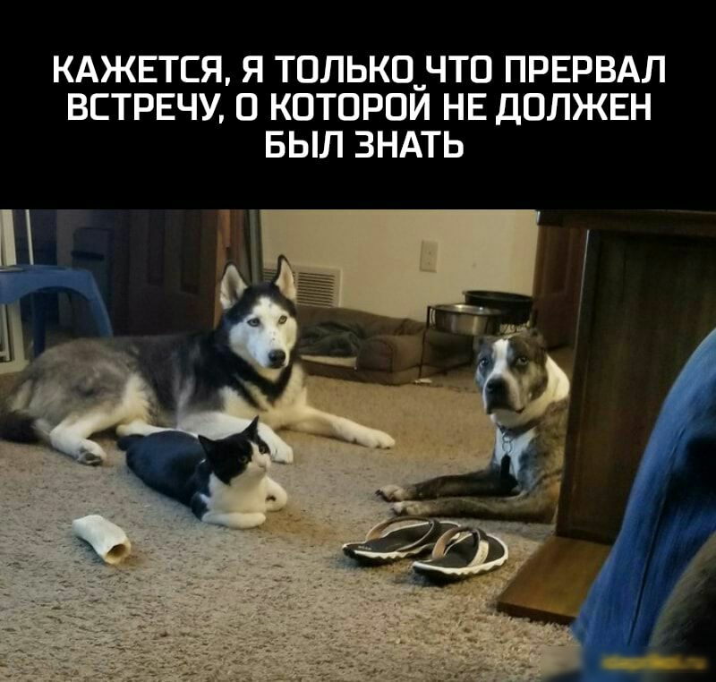 КАЖЕТСЯ Я ТОЛЬКО_ ЧТО ПРЕРВАЛ ВСТРЕЧУ О КОТОРОЙ НЕ ДОЛЖЕН БЫЛ ЗНАТЬ