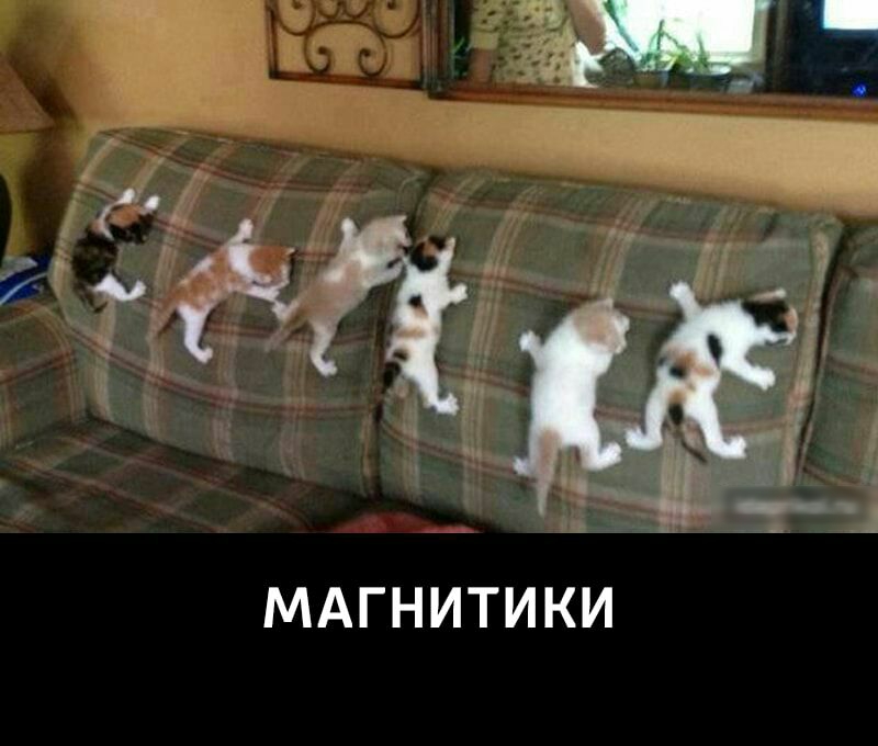 Ё ж _ ЁЁ 1 г МАГНИТИКИ