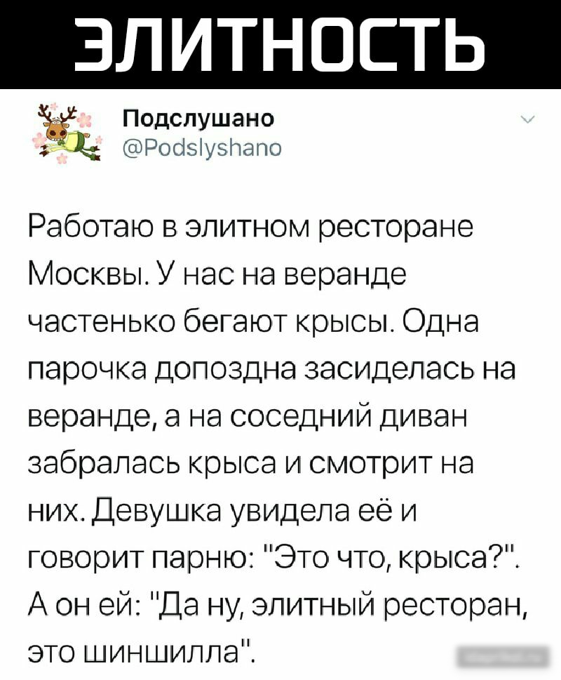 ЭЛИТНОСТЬ Подслушано Роозіузрапо Работаю в элитном ресторане Москвы У нас на веранде частенько бегают крысы Одна парочка допоздна засидепась на веранде а на соседний диван забралась крыса и смотрит на них Девушка увидела её и говорит парню Это что крыса А он ей Да ну элитный ресторан это шиншилла