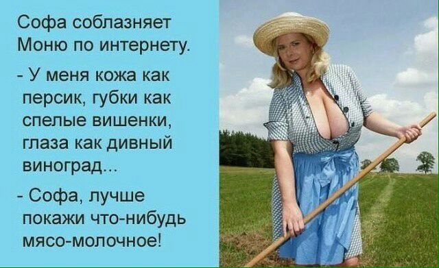 Софа соблазняет Моню по интернету У меня кожа как персик губки как спелые вишенки глаза как дивный виноград Софа лучше покажи чтонибудь мясо молочное