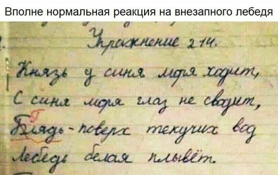 Вполне нормальная реакция на внезапного лебедя а