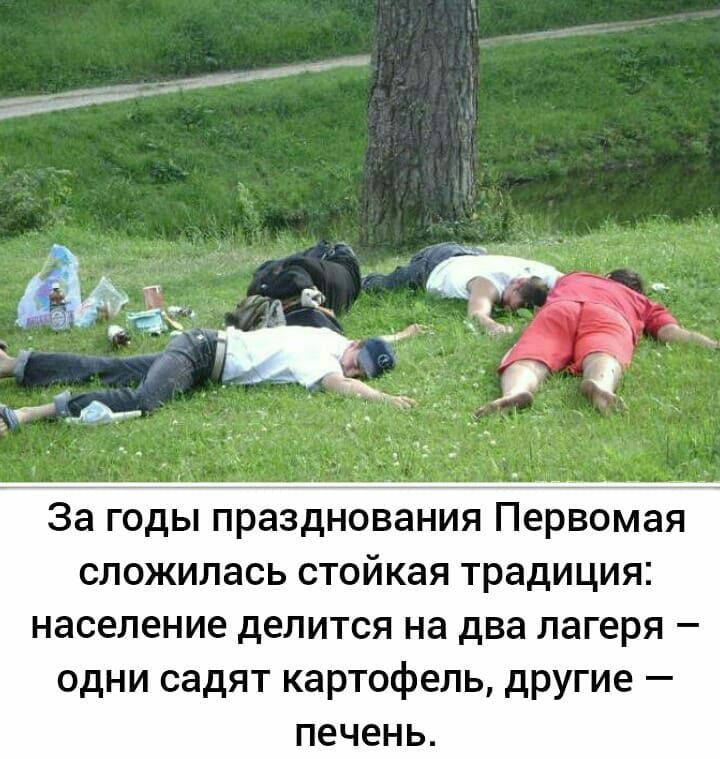 _ЭМ Фт к ЧЁЖ За годы празднования Первомая сложилась стойкая традиция население делится на два лагеря одни садят картофель другие печень