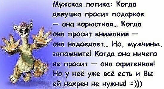 Мужская логика Кота девушка просит подарков она корыстная Когца ОНО ПРОСИТ ВНИМЦНИЯ _ она надоедает Но мужчины запомните Когда она ничего не просит она офигенная Но у неё уже всё есть и Вы ей нахрен не нужны