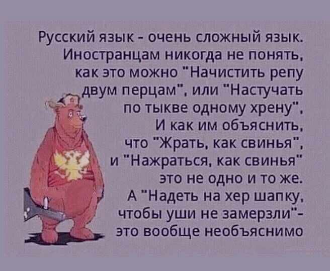 Русский язык очень сложный язык Иностранцам никогда не понять как это можно Начистить репу двум перцам или Настучать по тыкве одному хрену И как им объяснить _ что Жрать как свинья __ и Нажраться как свинья это не одно и то же А Надеть на хер шапку чтобы уши не замерзли это вообще необъяснимо