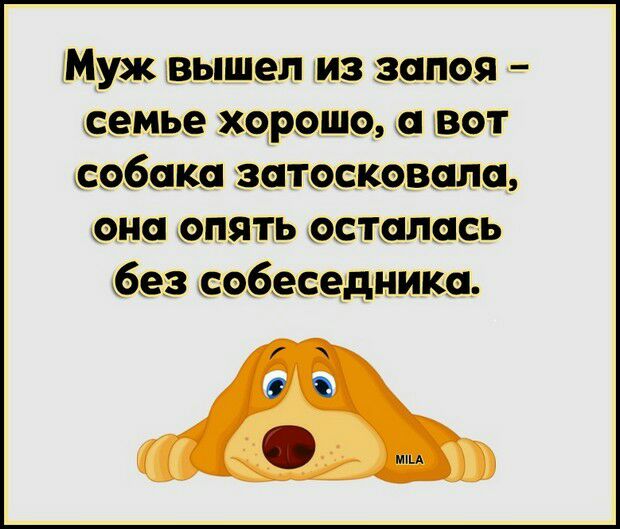 Муж вышел из запоя еемье Херста вет еебеке затеекевапа ене апять еетепееь без еебееедниюа