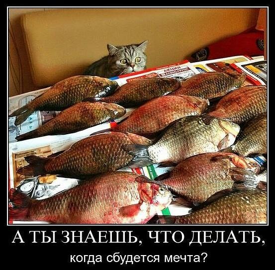 не _ А ТЫ ЗНАЕШЬ ЧТО ДЕЛАТЬ когда сбудется мечта