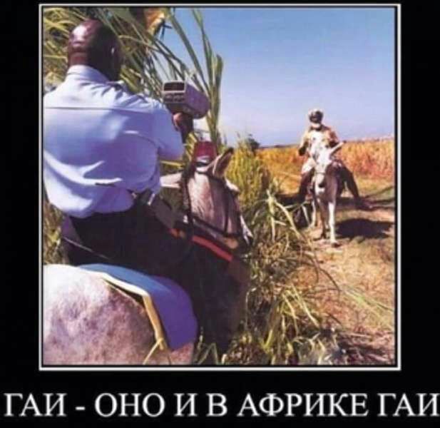 _ м _3 Ч ГАИ ОНО И В АФРИКЕ ГАИ