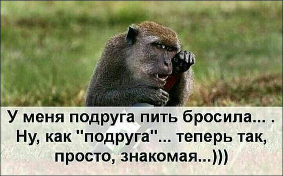 У меня подруга пть блросиа Ну как подруга теперь так просто знакомая
