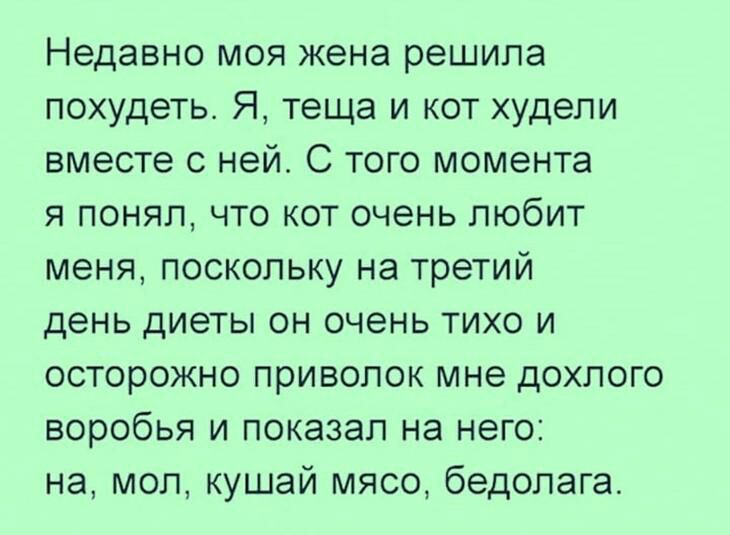 Недавно моя жена решила похудеть Я теща и кот худели вместе с ней С того момента я понял что кот очень любит меня поскольку на третий день диеты он очень тихо и осторожно приволок мне дохлого воробья и показал на него на мол кушай мясо бедолага