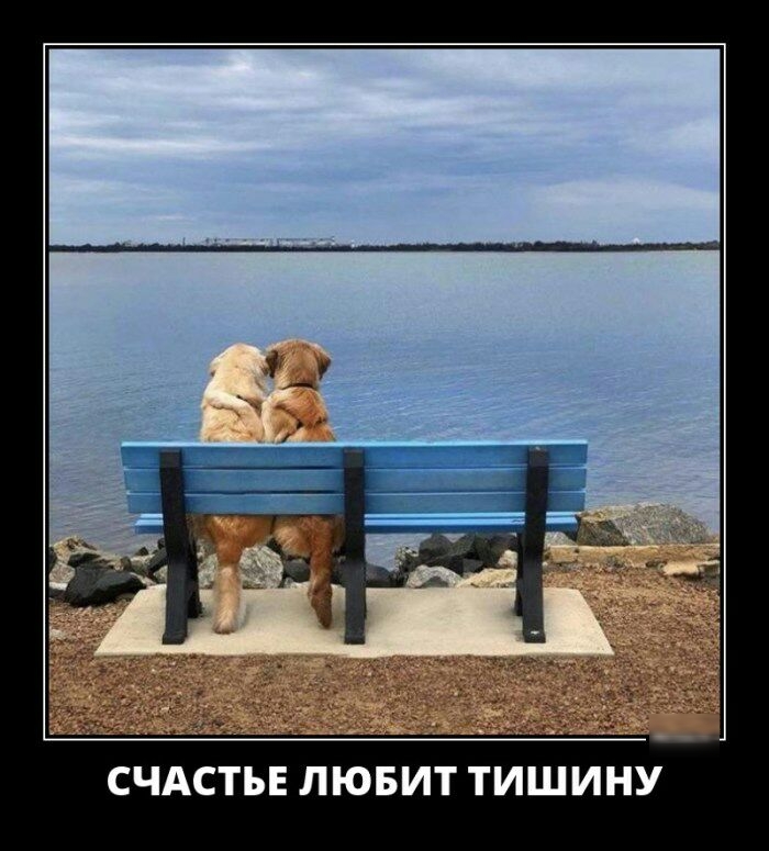СЧАСТЬЕ ЛЮБИТ ТИШИНУ