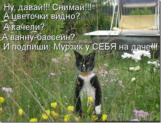 Ну дёвай СНимаи А цветочки вИдно