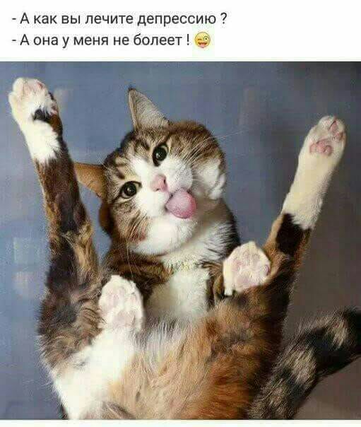 А как вы лечите депрессию А она у меня не болеет