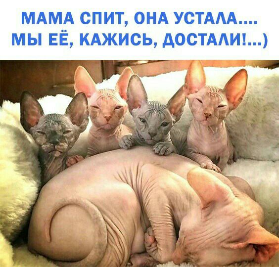 МАМА СПИТ ОНА УСТААА МЫ ЕЁ КАЖИСЬ АОСТААИ
