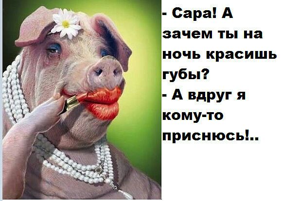 Сара А зачем ты на ночь красишь губы А вдруг я кому то приснюсь