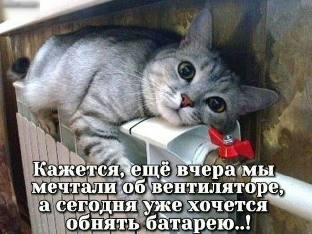 _ я еще вчераомы е обЧзентиляторе ужеххочется бата _