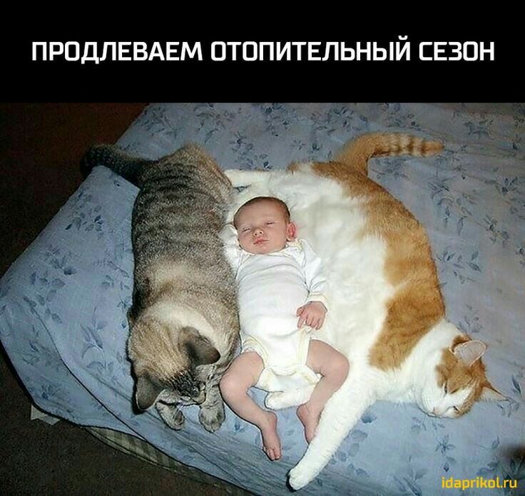 ПРПДЛЕВАЕМ ОТОПИТЕЛЬНЫЙ СЕЗОН