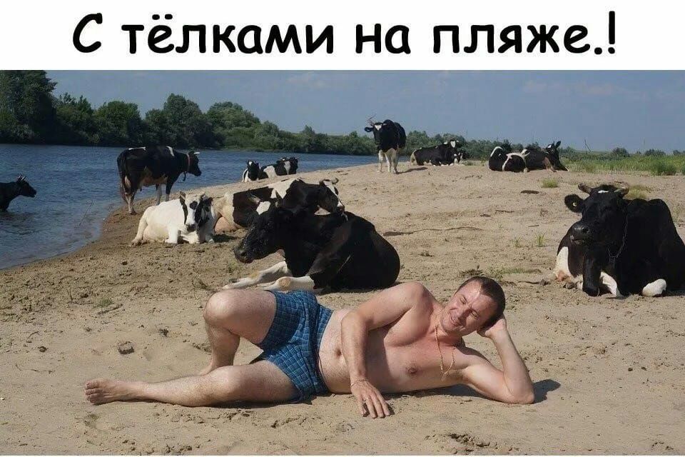 С тёлками на пляже