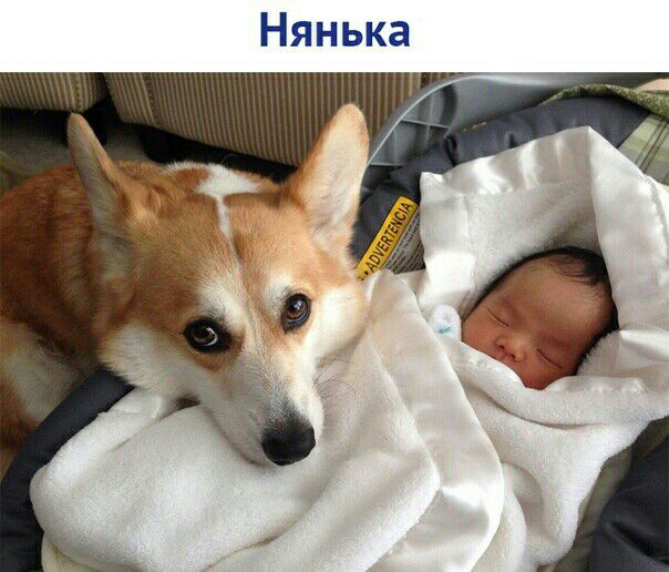 Нянька