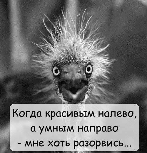 Когда красивым налево с умным направо мне хоть разорвись