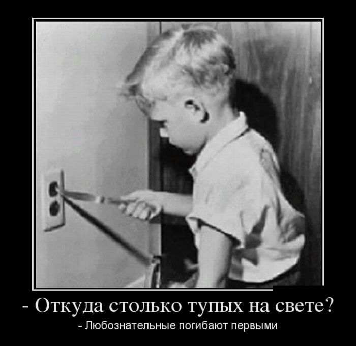 Откуда СТОЛЬКО ТУПЫХ на свете Любознательные погибают первыми