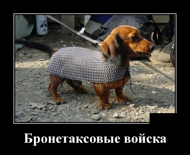 Бронетаксовые войска