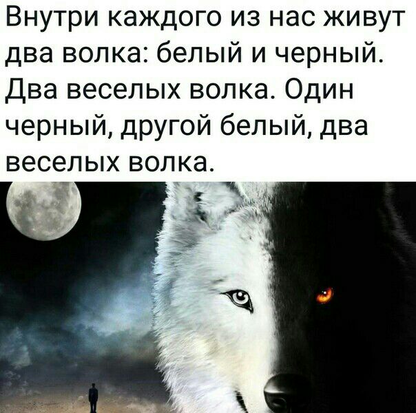Внутри каждого из нас живут два волка белый и черный Два веселых волка Один черный другой белый два у