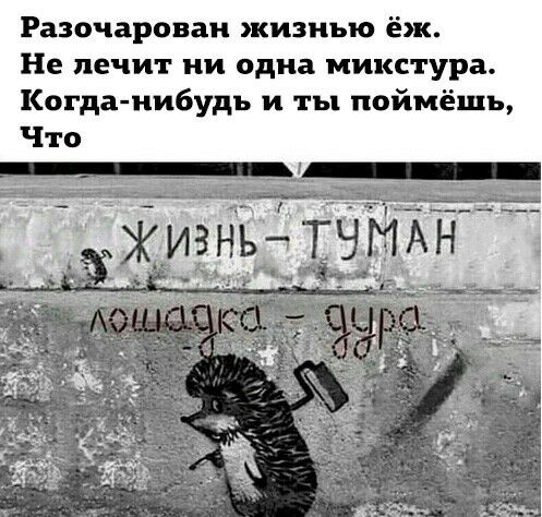 Разочарован жизнью ёж Не лечит ни одна микстура Когда нибудь и ты поймёшь