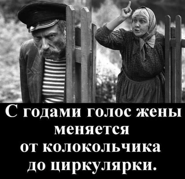 ДЯМИ ГОЛОС ЖВНЬП меняется ОТ КОЛОКОЛЬЧИКЯ до циркулярки Сго