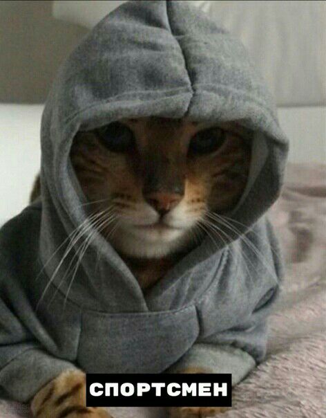 _ СПОРТСМЕН _ Б _