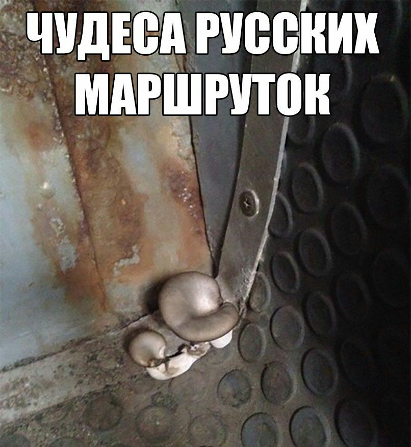 ЧУДЕСА ЛЮДИ МДЁЁРППН