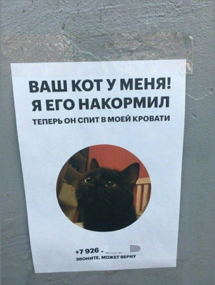 ВАШ КОТ У МЕНЯ Я ЕГО НАКОРМИЛ ТЕПЕРЬ ОН СПИТ В МОЕЙ КРОВАТИ