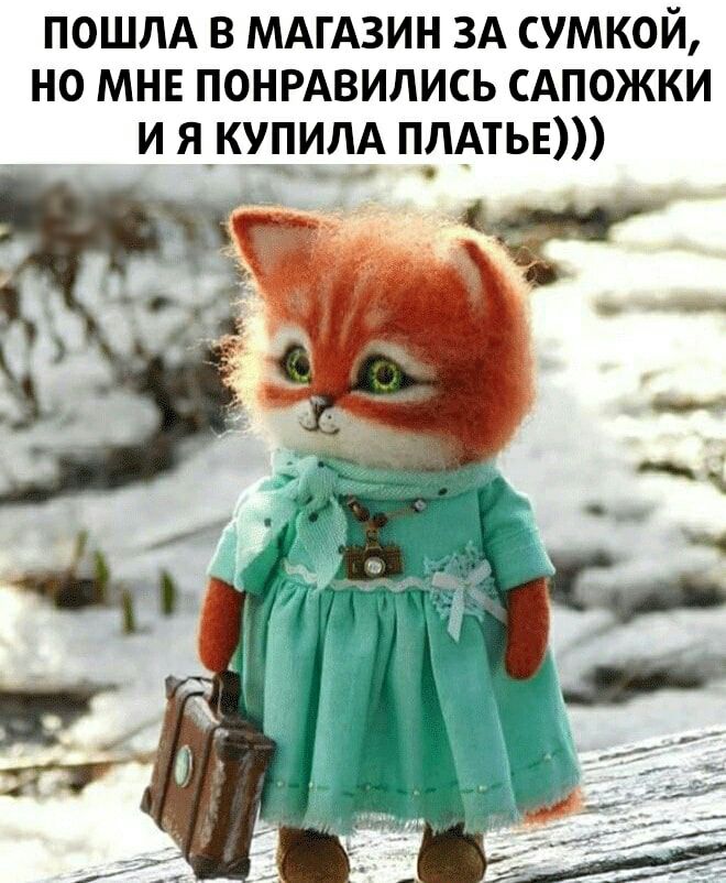 ПОШЛА В МАГАЗИН ЗА СУМКОЙ НО МНЕ ПОНРАВИЛИСЬ САПОЖКИ И Я_КУПИЛА ПЛАТЬЕ