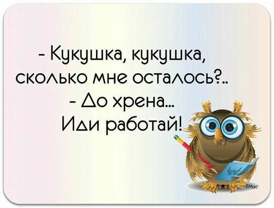 Кукушка кукушка сксько мне остаось Ао хрена ИАИ работай