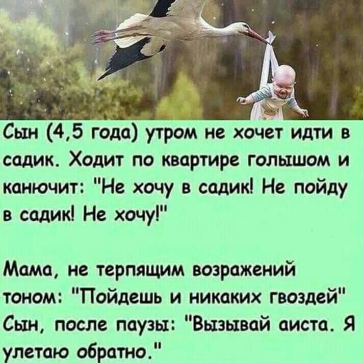 Сын 45 года утром не хочет идти в садик Ходит по квартире голышом и канючит Не хочу в садик Не пойду в садик Не хочу Мама не терпящим возражений тоном Пойдешь и никаких гвоздей Сын после паузы Вызывай аиста Я улетаю обратно