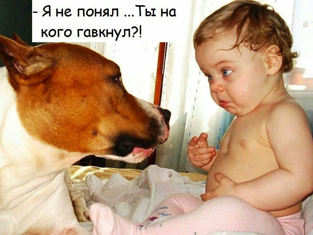 Я не понял Ты на кого гавкнул