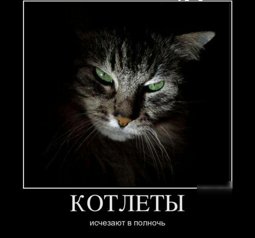 КОТЛЕТЫ