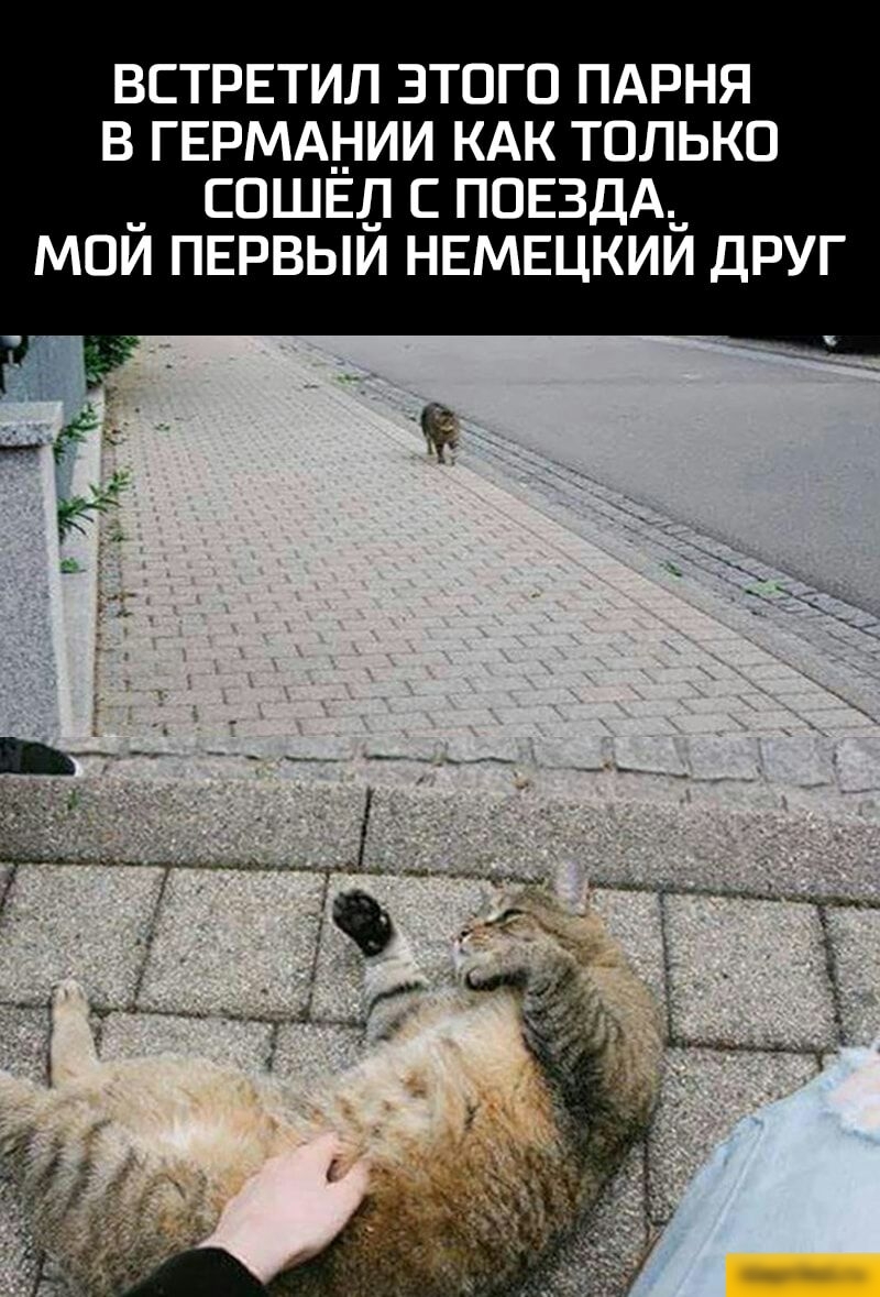 ВСТРЕТИЛ ЗТОГО ПАРНЯ В ГЕРМАНИИ КАК ТОЛЬКО СОШЁЛ С ПОЕЗДА_ МОЙ ПЕРВЫЙ НЕМЕЦКИЙ ДРУГ